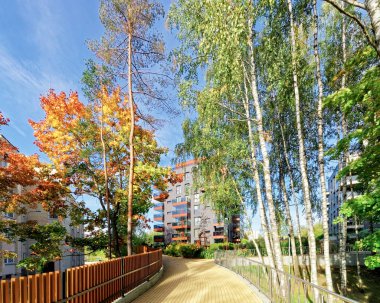 Huş ağaçları ve Modern cam konut apartman