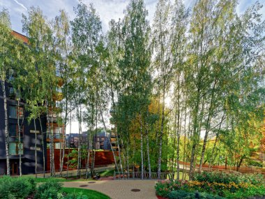 Huş ağaçları Modern cam konut binası