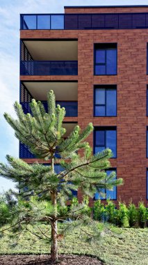 Çam ağaçları, Modern mimari apartman kompleksi