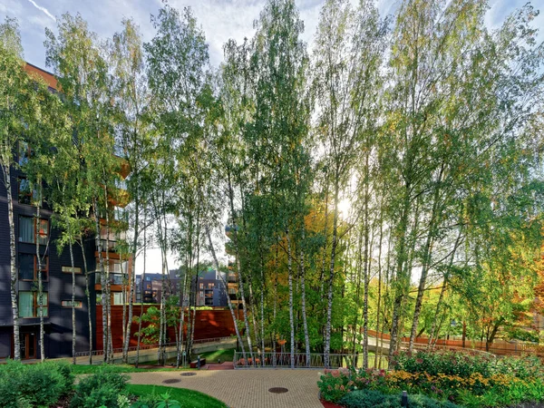 Huş ağaçları Modern cam konut binası