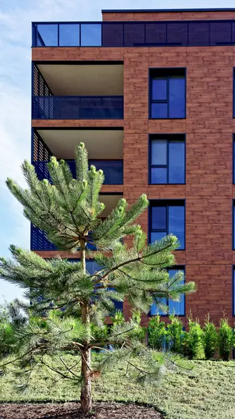 Çam ağaçları, Modern mimari apartman kompleksi