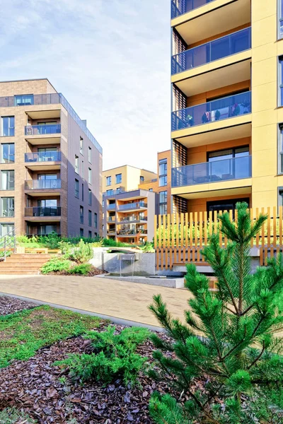 Çam ağacı, Modern mimari kompleks daire konut