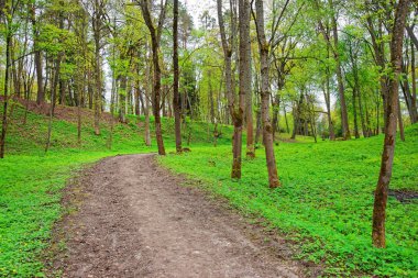 Vilnius Traku Voke halk parkı park Trail