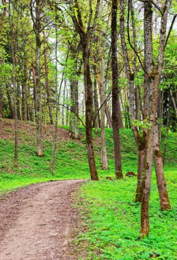 Vilnius Traku Voke kamu parkı Trail