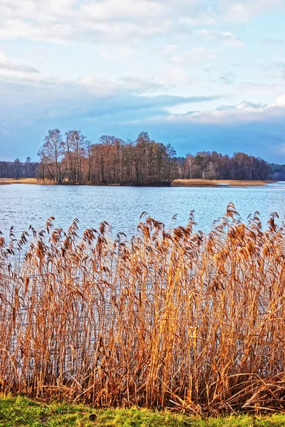 Natureza no lago Galve na ilha de Trakai — Fotografia de Stock