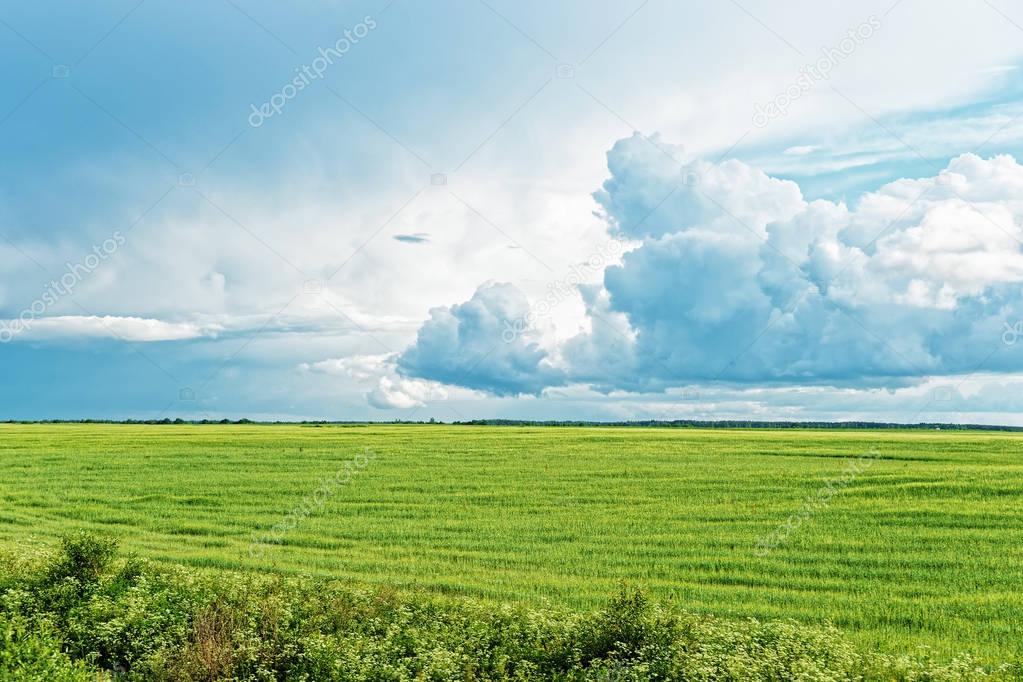 Rural landscape of field and dramatic clouds