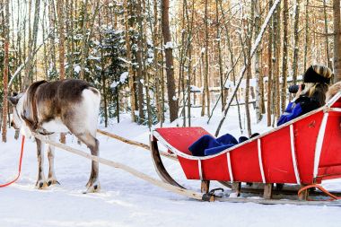 Ren geyiği kızak kış Rovaniemi içinde kız alarak fotoğraf