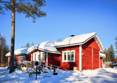 Laponya Rovaniemi kış Ren geyiği grupta evde