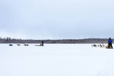 Lapland Finland içinde donmuş kış gölde Husky köpekleri kızak