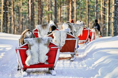 Ren geyiği kızak karavanda kış Rovaniemi orman insanlar