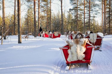 Ren geyiği kızak karavan Safari ormandaki Fin Lapland insanlar