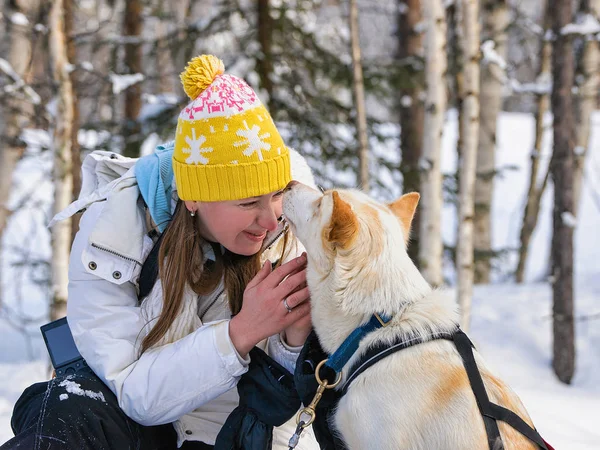 Menina e cachorro Husky na Lapônia Finlândia — Fotografia de Stock