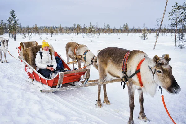 Dívka na sobí sáně v zimě Rovaniemi — Stock fotografie