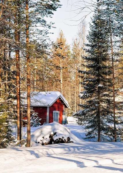 Casa in fattoria renne in inverno Lappish Rovaniemi — Foto Stock