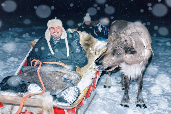 Man in rendieren slee bij nacht safari in Lapland Finland — Stockfoto