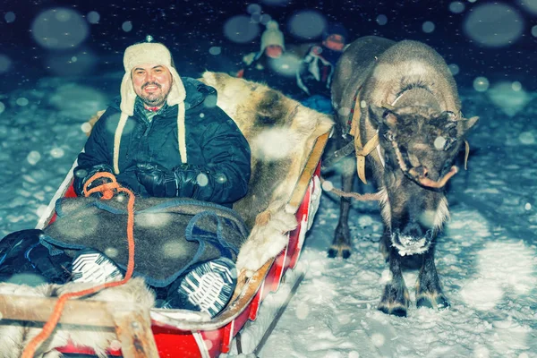 Man op rendieren slee bij nacht safari in Lapland Finland — Stockfoto