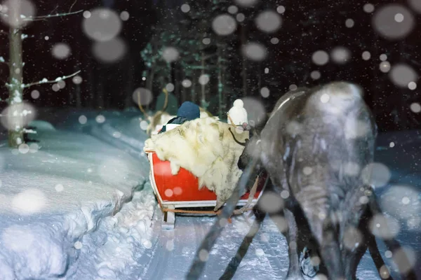 Mensen in rendieren sleeën bij nacht safari in Lapland Finland — Stockfoto