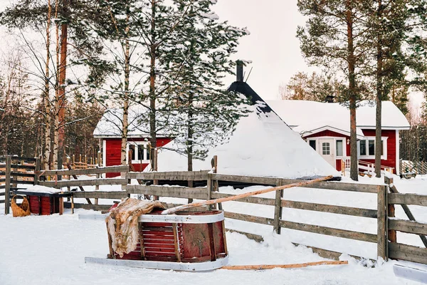 Saně na sobí farmy v zimě Rovaniemi — Stock fotografie