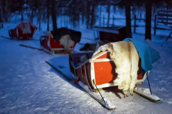 Los trineos en la granja en Laponia Finlandia —  Fotos de Stock