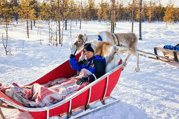 Mulher sênior em rena trenó caravana na floresta Lapônia finlandesa — Fotografia de Stock