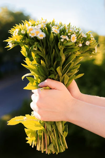 Alan papatya çiçek kız elinde romantik demet — Stok fotoğraf