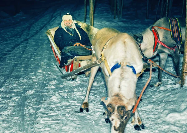 Mann und Rentier mit Schlitten Nachtsafari Lappland Nordfinnland — Stockfoto