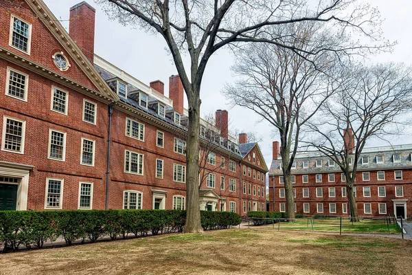 Hollis Hall y Stoughton Hall en Harvard Yard Cambridge MA America — Foto de Stock