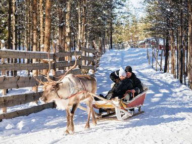 Ren geyiği binmek kış Rovaniemi Kuzey Finlandiya, sledge iken aile