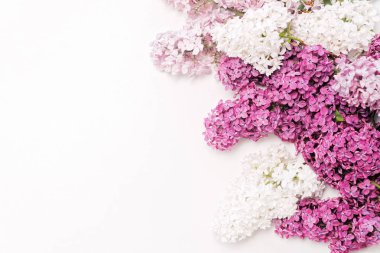 Çerçeve beyaz arka plan, mor Lila çiçek