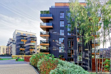Modern cam apartmanlar ve huş ağaçları