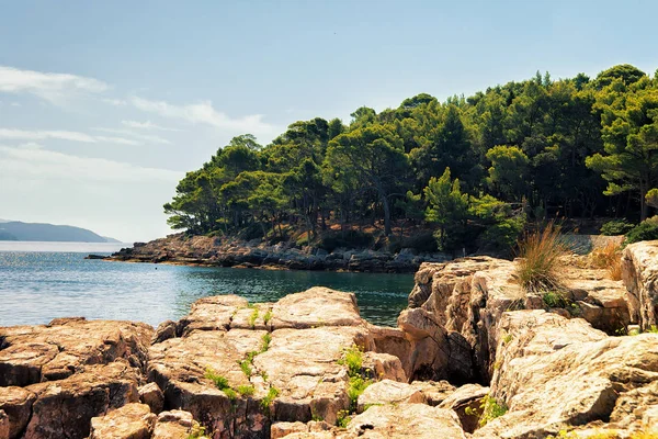 Costa de la isla de Lokrum en el mar Adriático — Foto de Stock