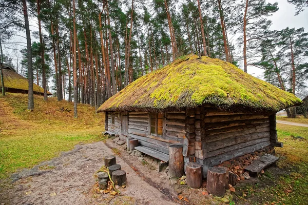 Edifício antigo em Etnográfico ao ar livre aldeia de Riga Baltic — Fotografia de Stock