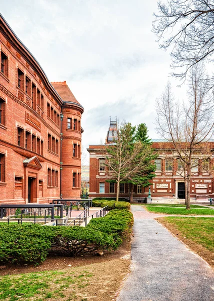 Розірвати залу в Гарварді дворі ма Америці — стокове фото