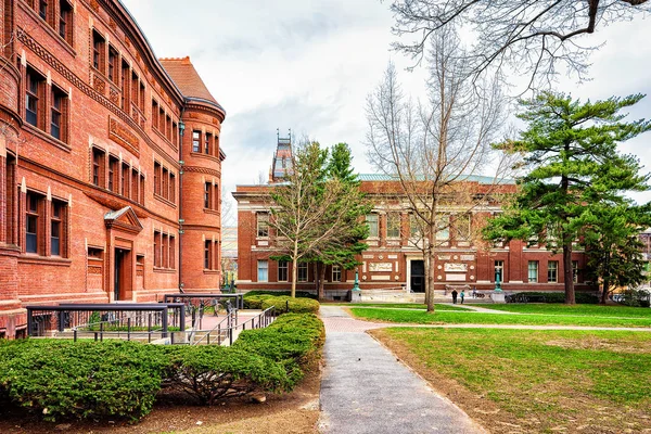 Розірвати зал Гарвардського дворі ма Америка — стокове фото