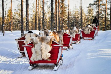Karavan safari ve insanlar halletme Ren geyiği Kuzey Lapland Finland orman