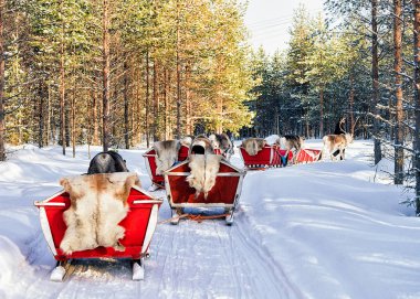 Ren geyiği karavan safari atlı kızak ve insanlar Kuzey Lapland Finland orman