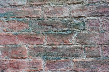 Eski tuğla duvar doku Siena