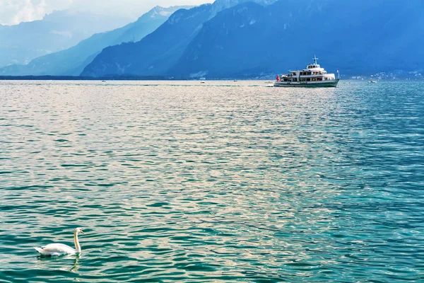 ジュネーブ湖ヴヴェイ スイス ・ リヴィエラで白鳥と観光フェリー — ストック写真