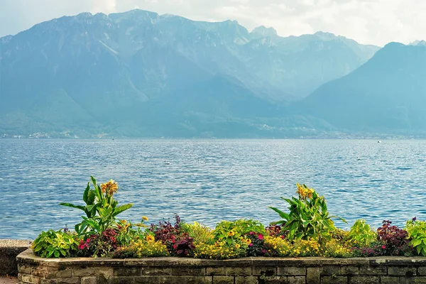 Povaha Ženevské jezero ve Vevey, Švýcarsko — Stock fotografie