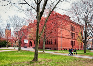 Harvard Üniversitesi Amerika'nın Harvard bahçesinde insanlar