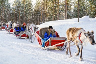 Safari ve insanlar halletme Ren geyiği Kuzey Lapland Finland orman