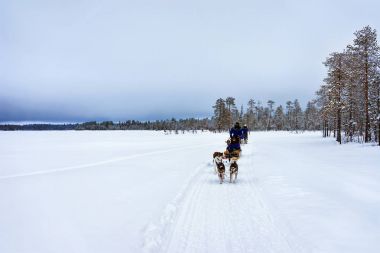 Husky köpekleri kızakları insanlar Gölü Kuzey Lapland Finland kış