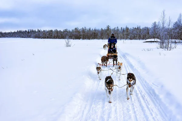 Mensen op Husky honden sleden winter lake Lapland Noord-Finland — Stockfoto