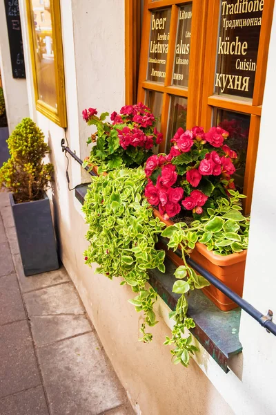 Vasos de flores na rua na cidade velha em Vilnius Baltic — Fotografia de Stock