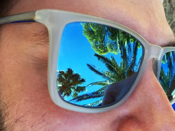 Güneş gözlüğü yansıyan tropikal palmiye ağacı