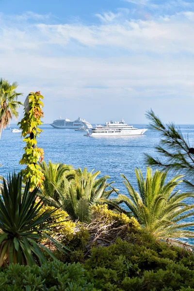 Bateaux de croisière de luxe à la mer Adriatique et palmiers — Photo