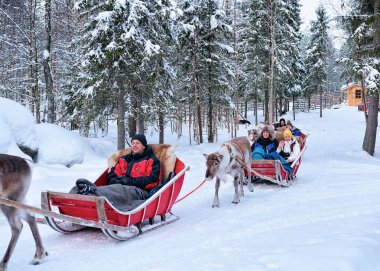 Ren geyiği sürme insanlar Lapland ormanda kış karavanda atlı kızak