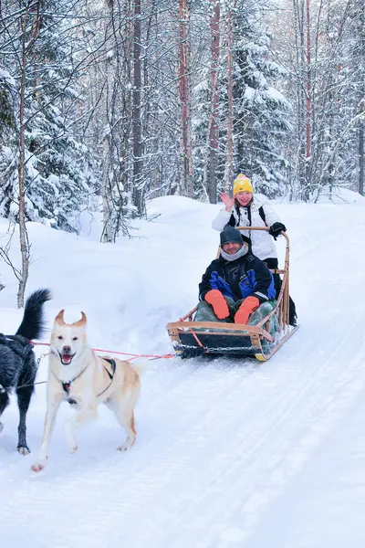 Family riding husky sledge na Lapônia no inverno Floresta finlandesa — Fotografia de Stock