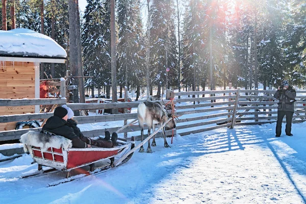 Családi lovas rénszarvas szán Rovaniemi télen — Stock Fotó