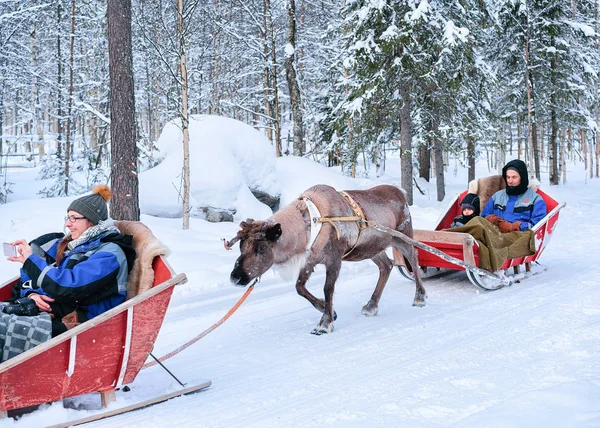 Люди, катающиеся на оленьих санях караван в зимнем лесу в Лапландии — стоковое фото